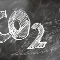 CO2 leaf