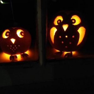 Two pumpkins carved to look like owls