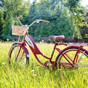 Ride and Stride 2026
