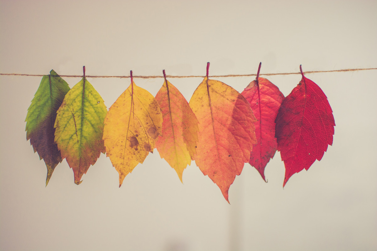Pioneer Ministry Blog: Changing times and seasons