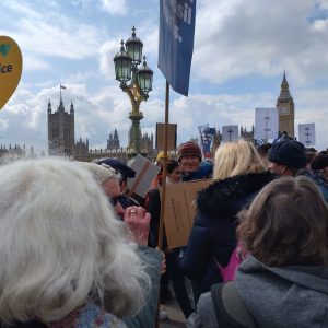 A crowd of protesters with a view of the Westminster skyline in front of them