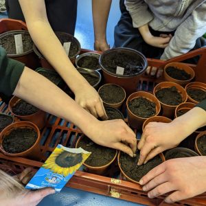Pupils sowing seeds of hope at Oak Hill CoE Primary