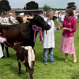 Livestock, food and special guests at Royal Three Counties Show
