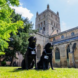 Meet Tewkesbury Abbey’s welcomer dogs
