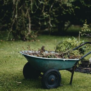 Eco Church: Land and Nature