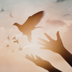 ‘The Gospel of Peace: Meditation and the way of nonviolence’ weekend retreat
