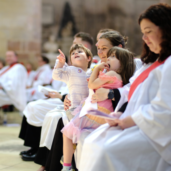 Ordinations 2026: photos now available