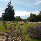 Working together towards the Eco Diocese Silver Award Working together towards the Eco Diocese Silver Award