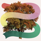 ‘Ageing Gracefully’ available in new online format ‘Ageing Gracefully’ available in new online format